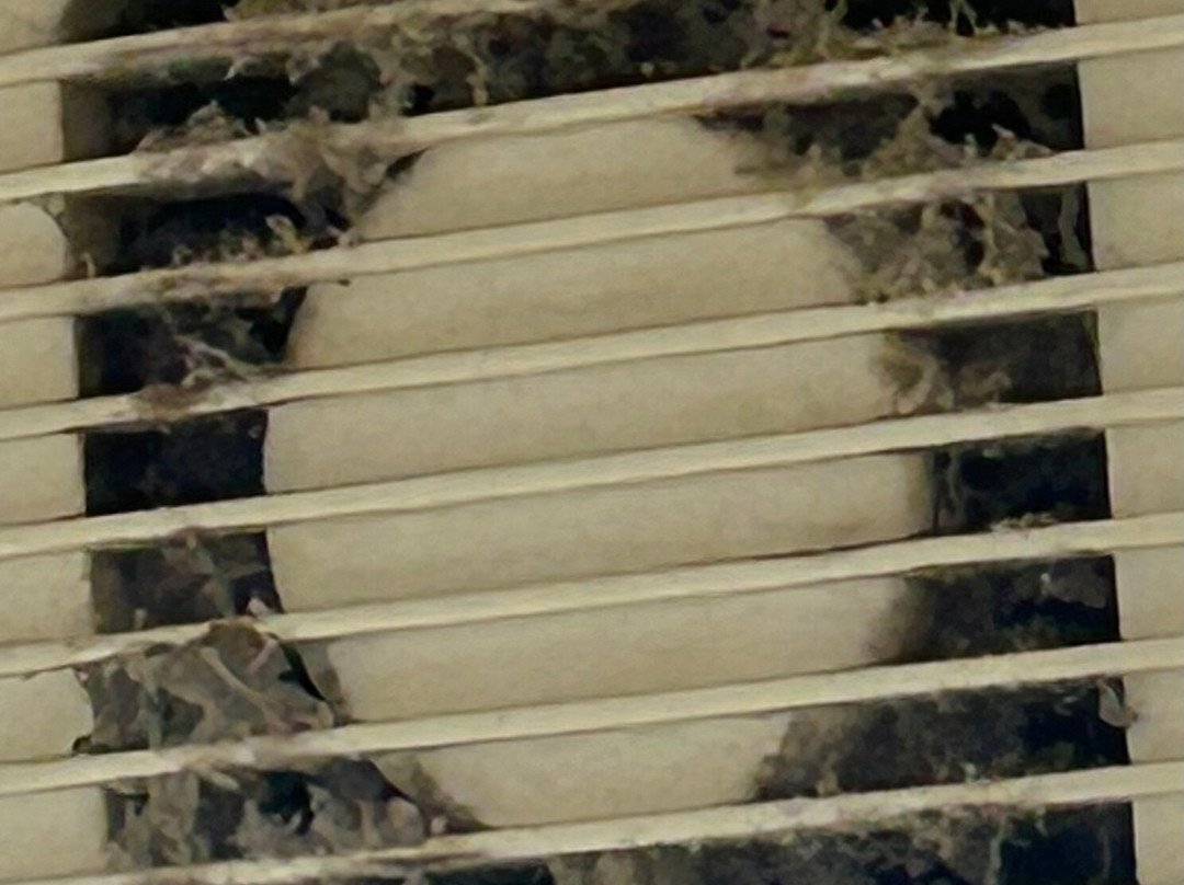 The Greyhound Inn主图