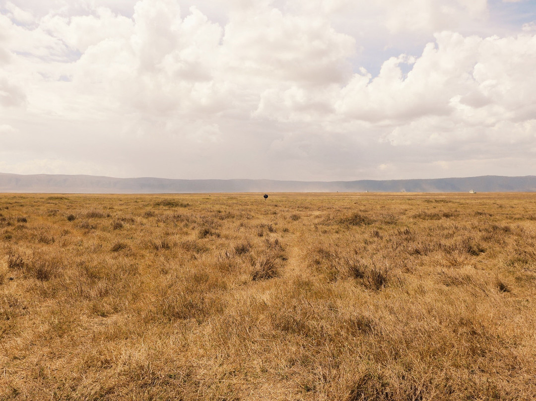 Kimgoni Tanzania Safaris-阿鲁沙必去景点