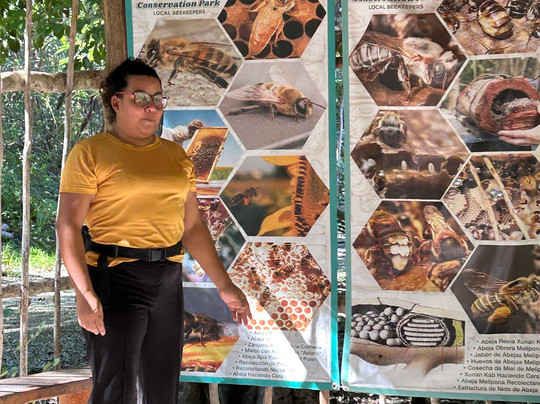 Bee Friendly Conservation Park-考祖梅必去景点