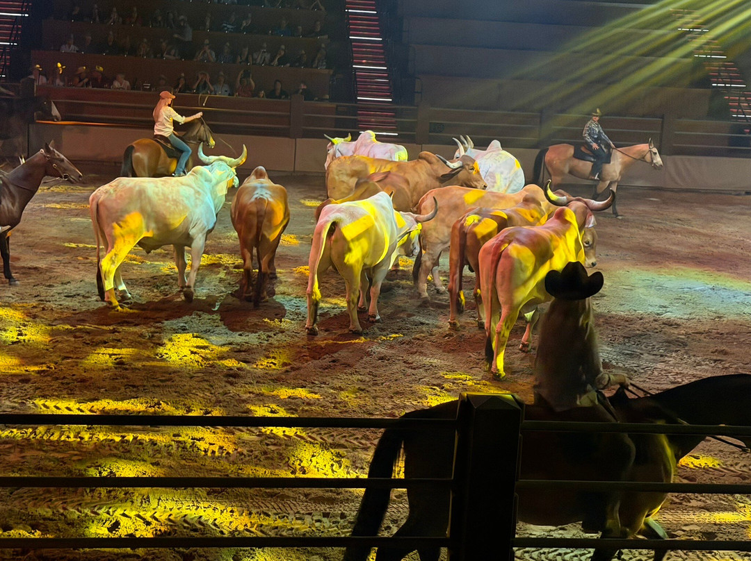 澳野奇观-奥克森福德必去景点