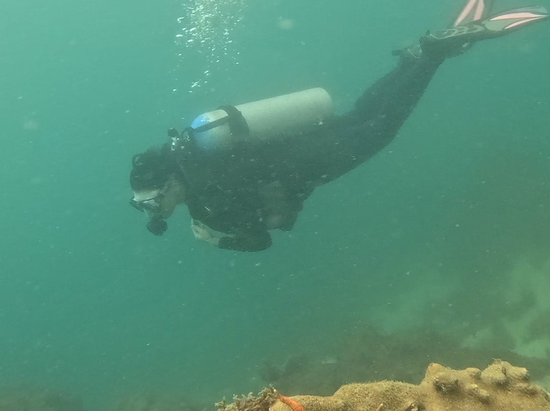 Deep Trip-阿拉伊阿尔港必去景点