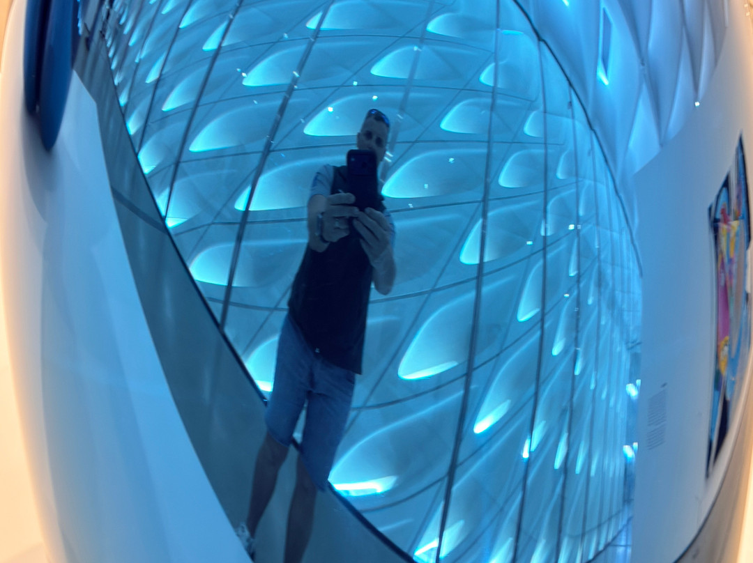 布洛德艺术博物馆-洛杉矶必去景点