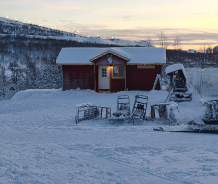 基律纳狗拉雪橇之旅-基律纳必去景点
