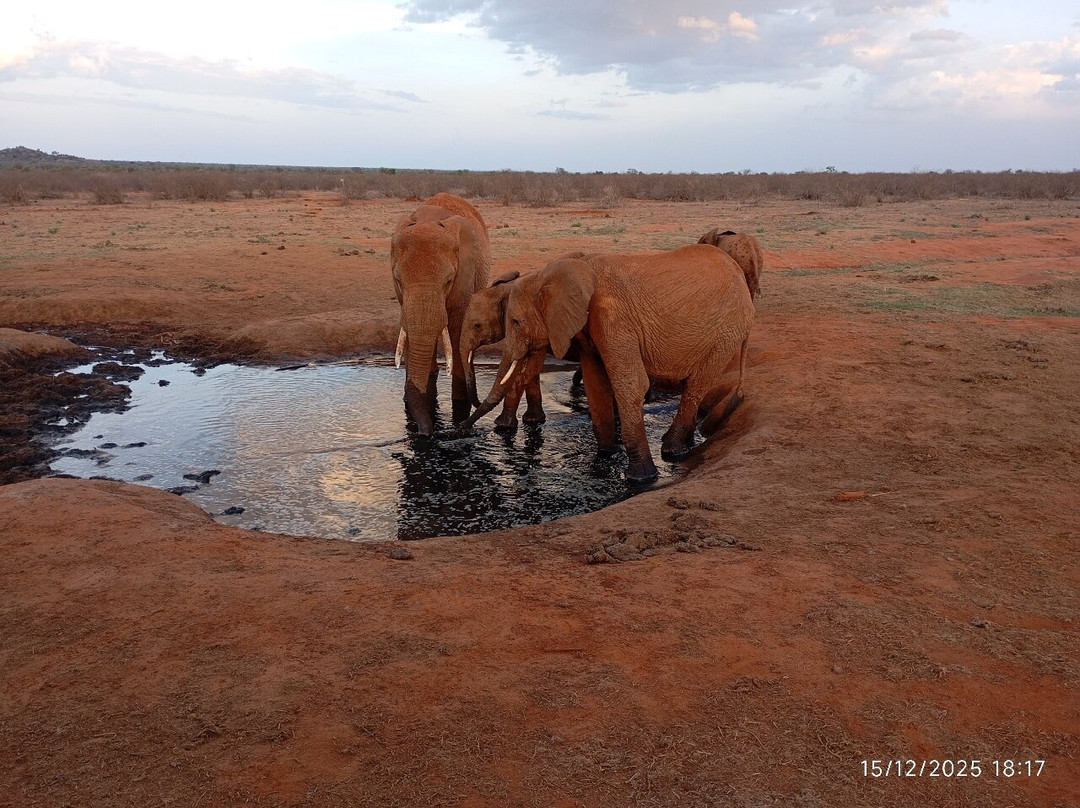 Tsavo East National Park-查佛必去景点