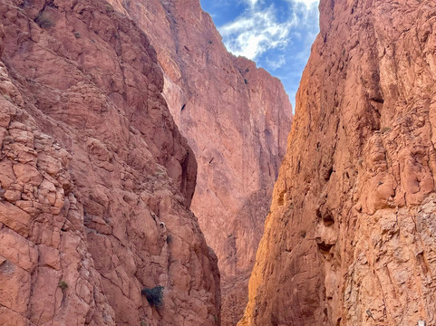 Moroko Tour-非斯必去景点