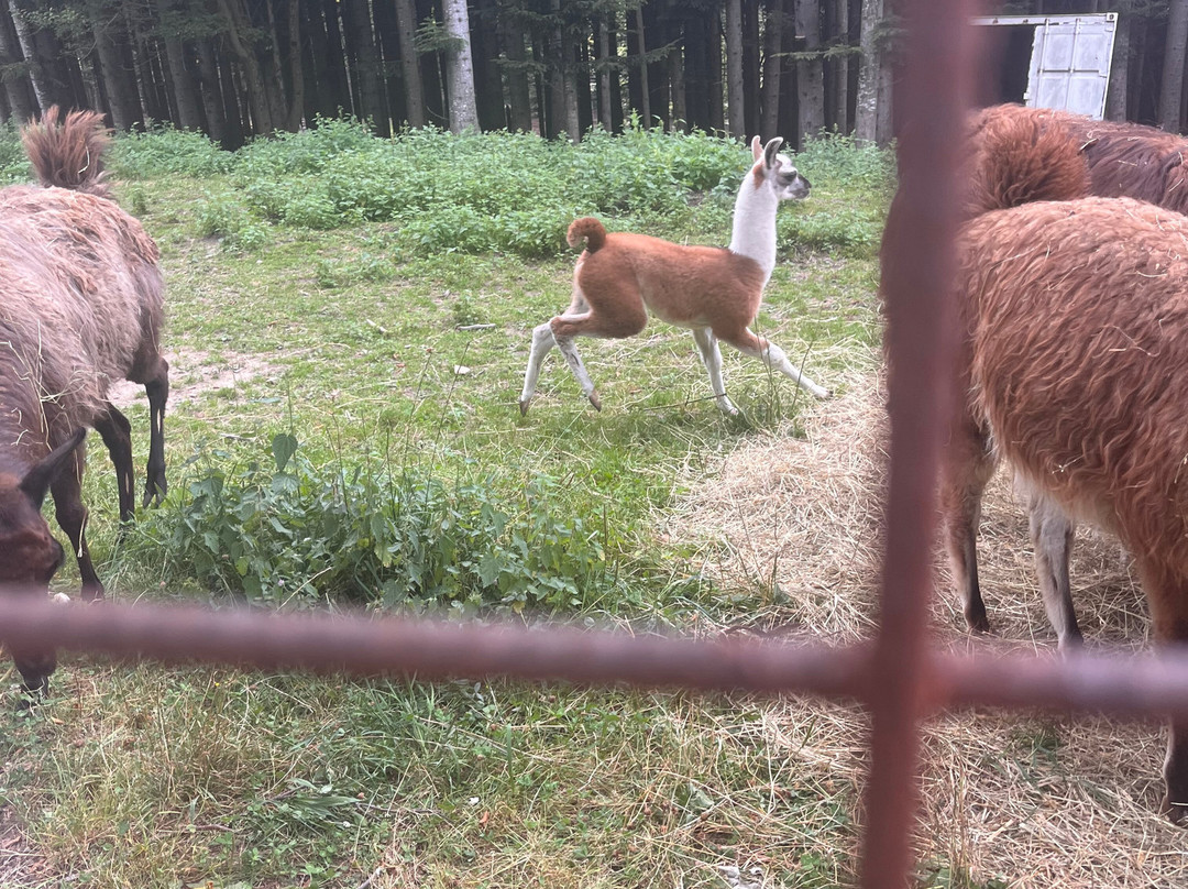 Oasi Delle Piane-Lama Mocogno必去景点