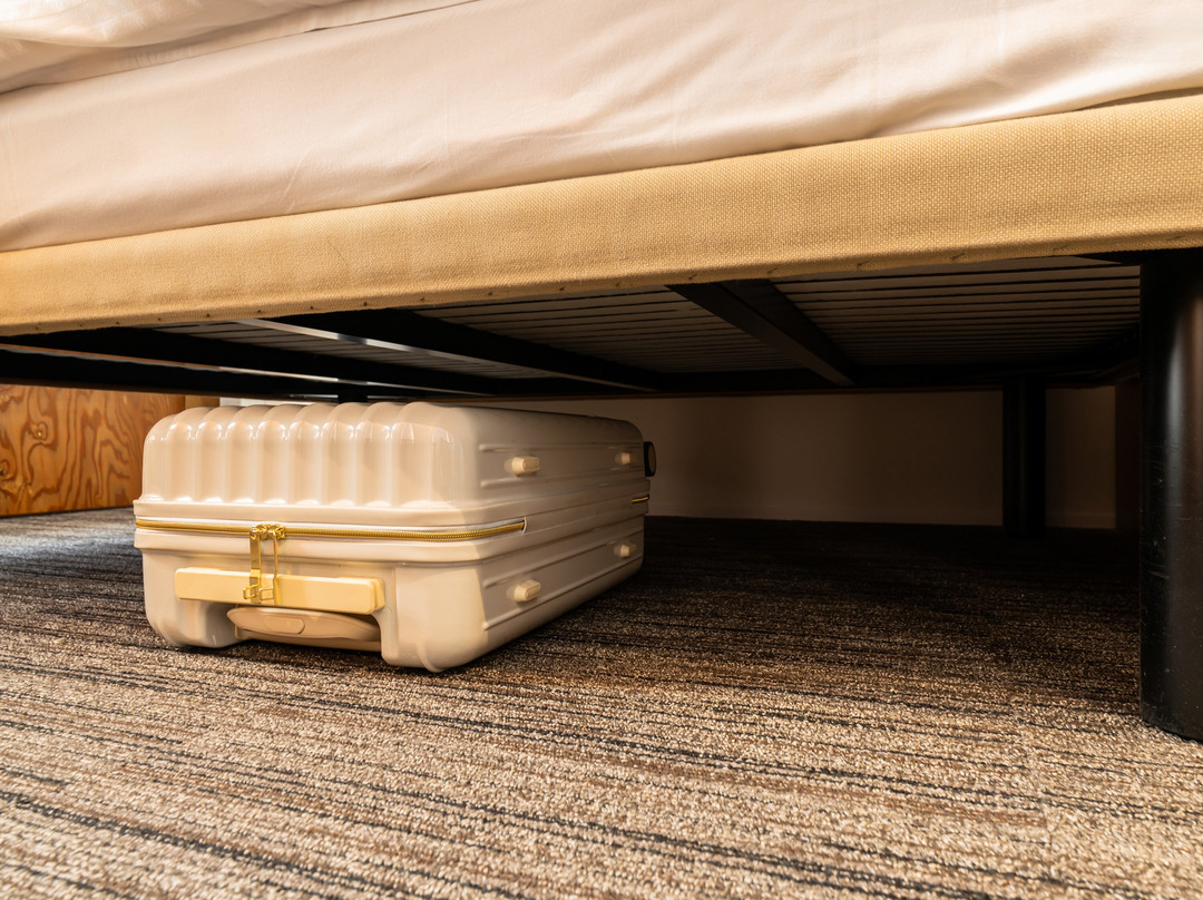 ONE＠Tokyo by insomnia主图