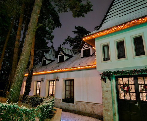 Complex Parc Pini Moinesti主图