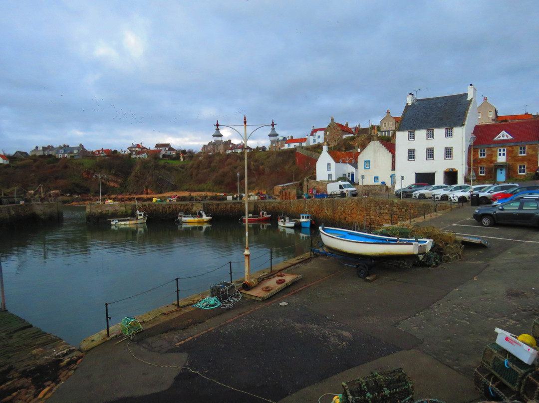 Crail Harbour-Crail必去景点