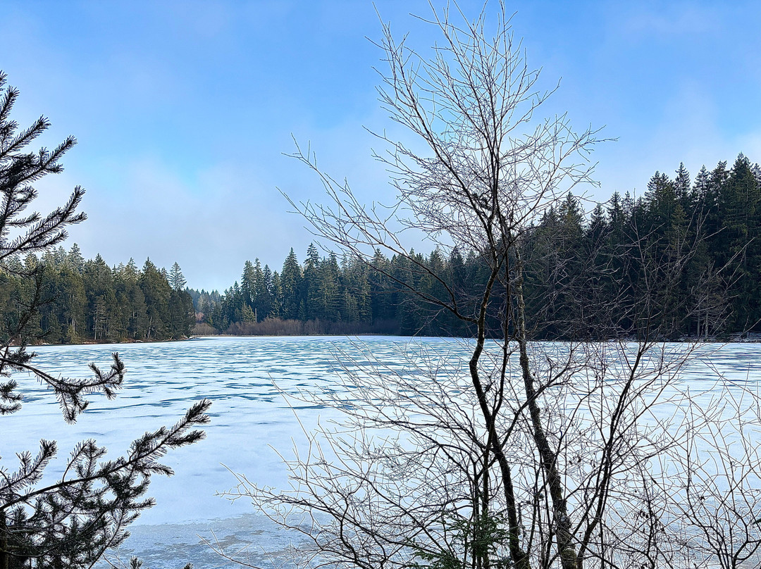 Etang de la Gruère-Saignelégier必去景点