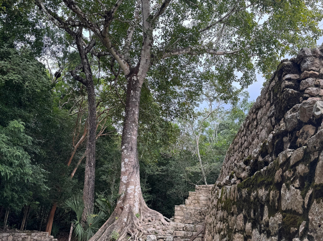 Kalido Travel-坎昆必去景点