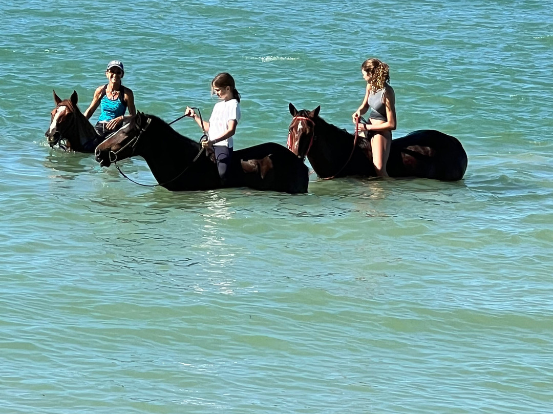 Hacienda la Suerte-拉斯特拉纳斯必去景点