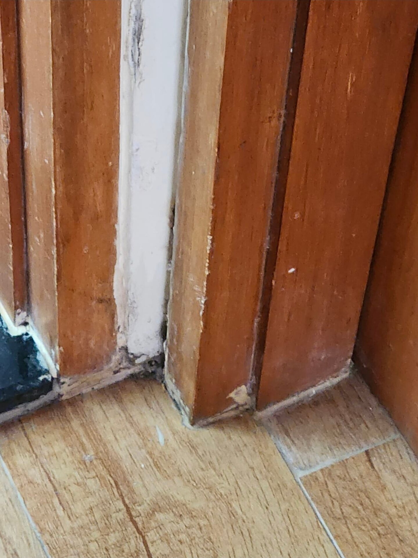 卡域拉贾别墅-官方