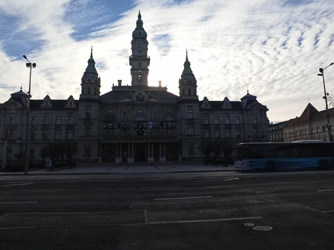 Gyor Town Hall-焦尔必去景点