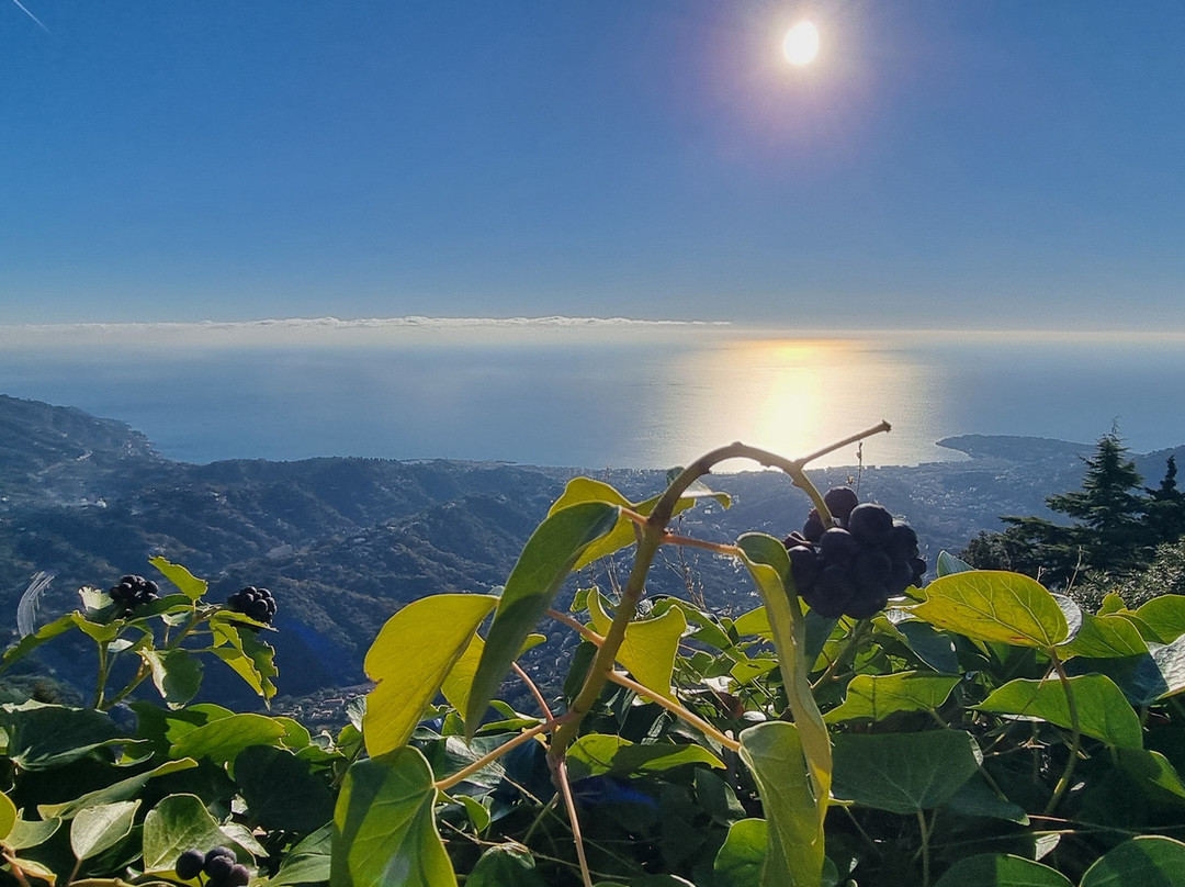 Chateau Et Jardin Medieval-Sainte-Agnes必去景点