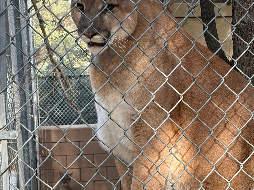 Southwest Wildlife Conservation Center-斯科茨代尔必去景点