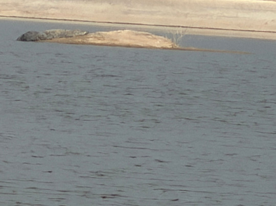 Trulyy The Jawai Leopard Kingdom主图