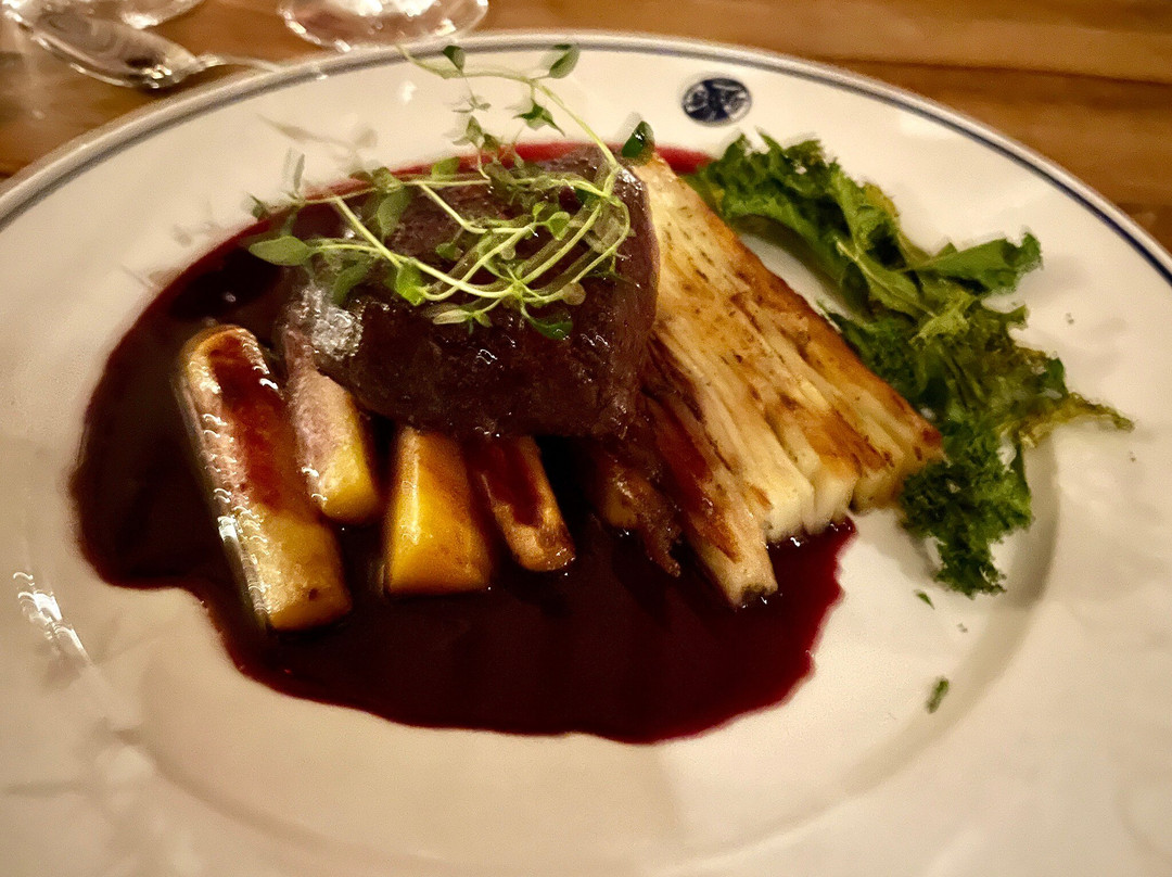 北极光天空站-阿比斯库必去景点