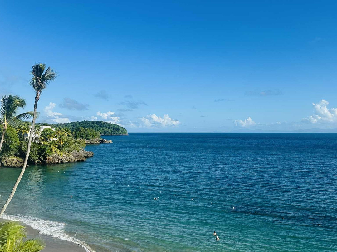 Bahia Principe Grand Samana主图