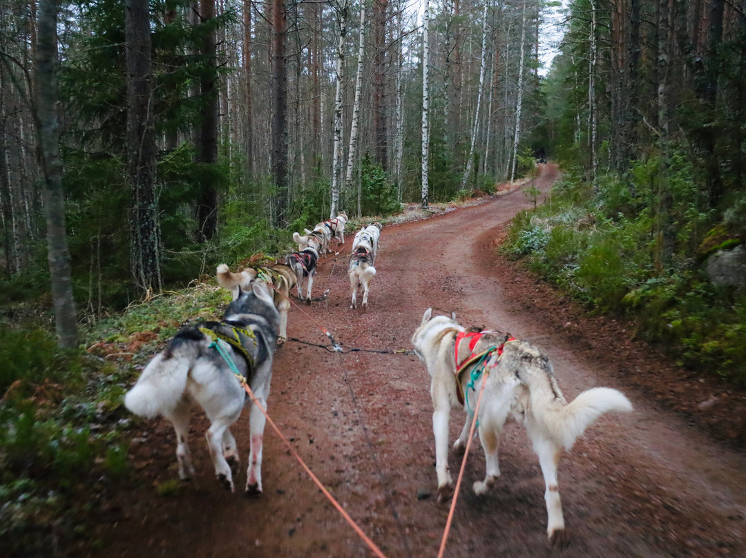 Arctic Expedition-埃斯波必去景点