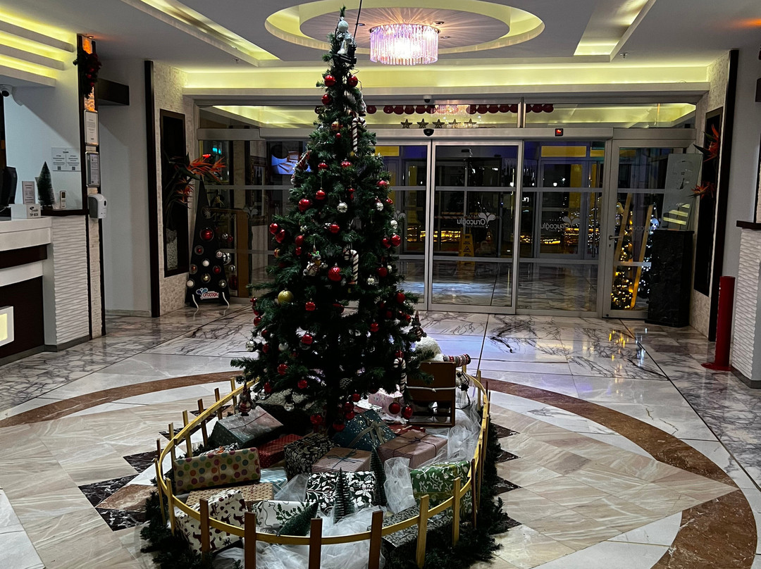 Orucoglu Thermal Resort & SPA主图