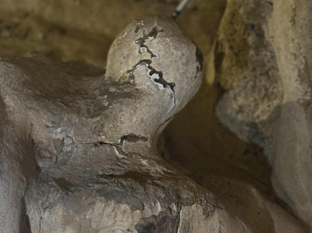 Hoa Cuong Cave-Gia Luan必去景点