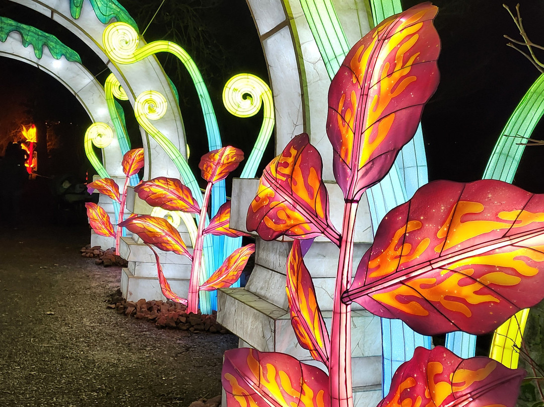 Zoo Halle (Mountain Zoo)-哈雷必去景点