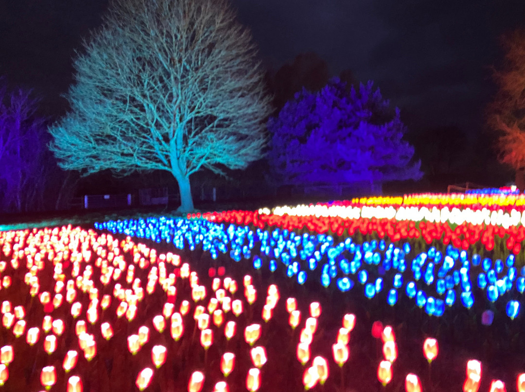 Millets Farm Centre-弗里福德希斯必去景点