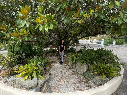 Uzhupud Garden Hotel主图