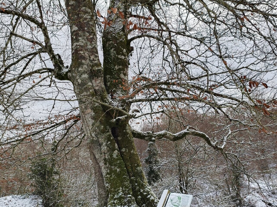 Monumento Natural del Monte Santiago-布尔戈斯省必去景点