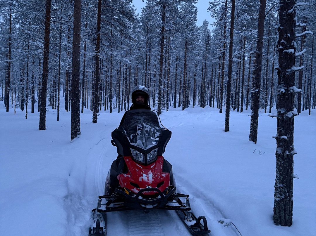 Northern Lights Park-罗瓦涅米必去景点