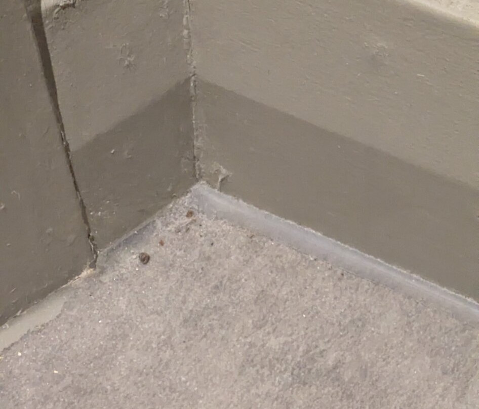 Premier Inn Frome Hotel主图