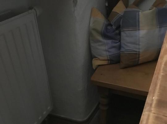 斯科尼霍夫酒店主图