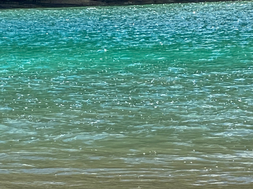 Wenderholm Regional Park-怀韦拉必去景点