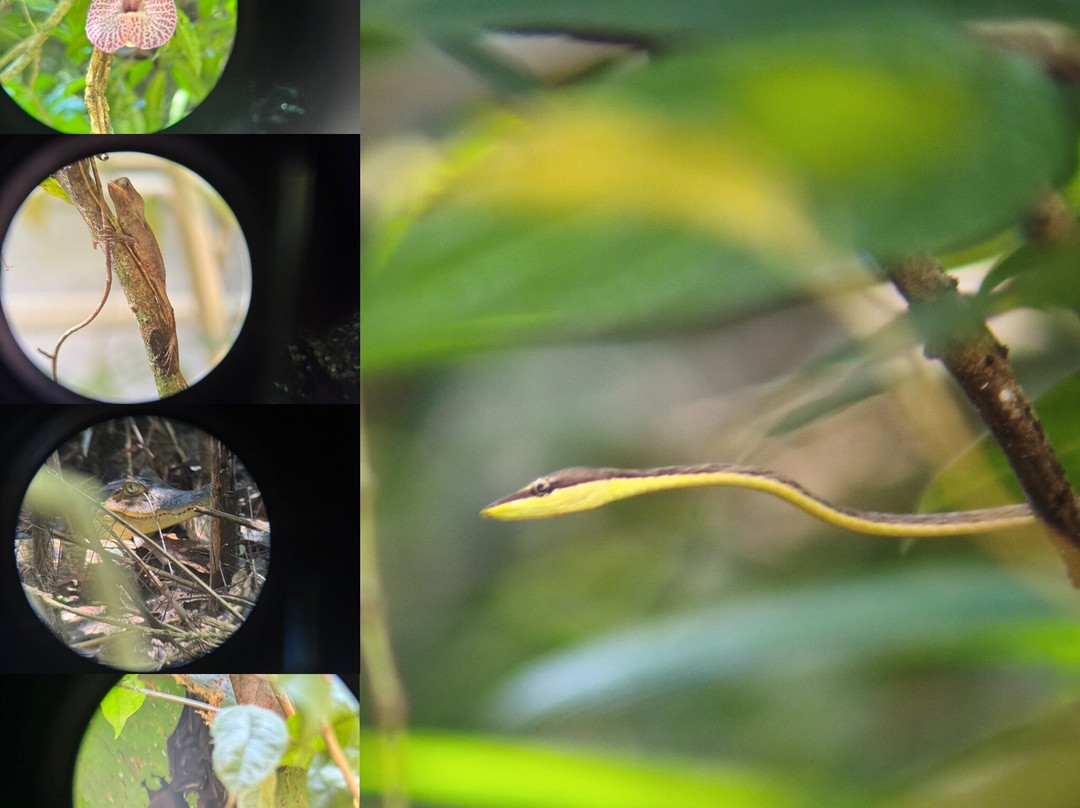 Parque Nacional Manuel Antonio
