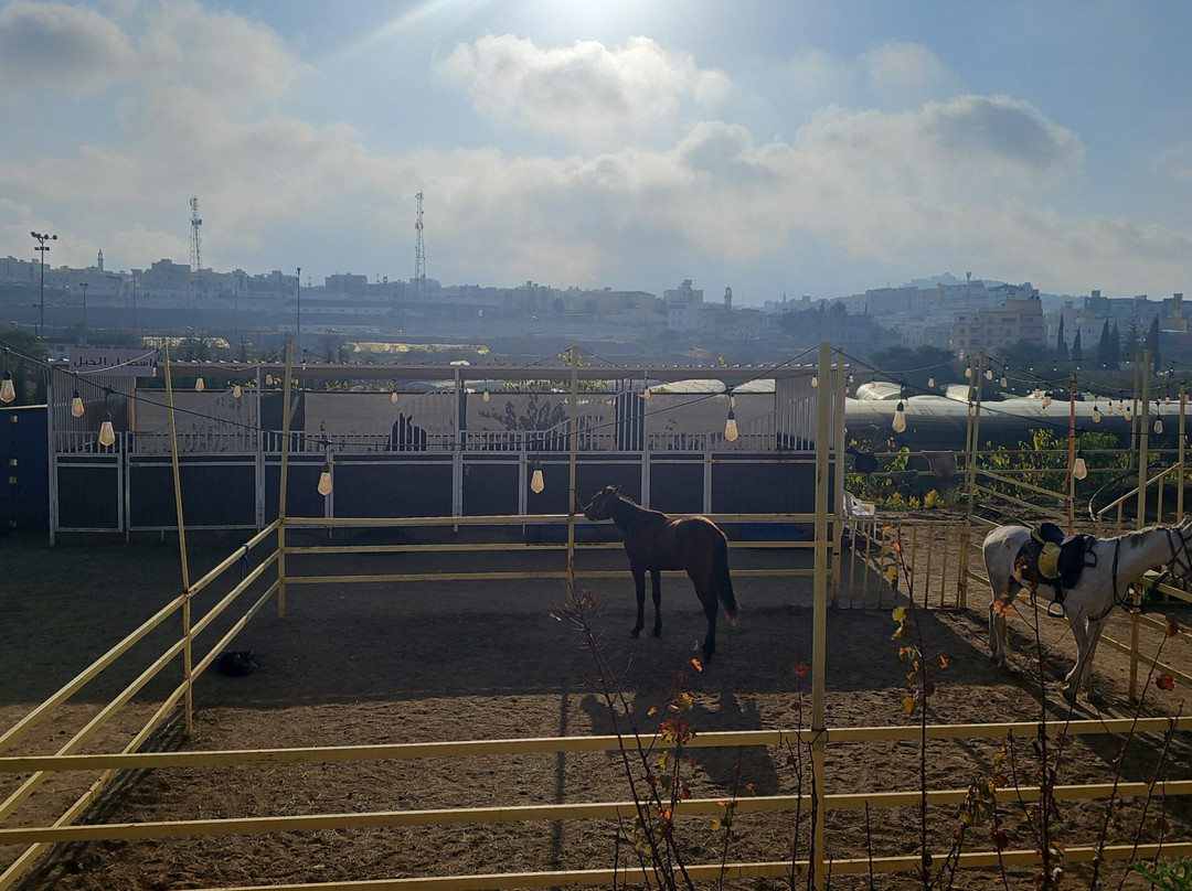 Saudi Arabia Tours-利雅德必去景点