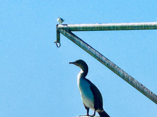 Cape Coast Expeditions-Yzerfontein必去景点