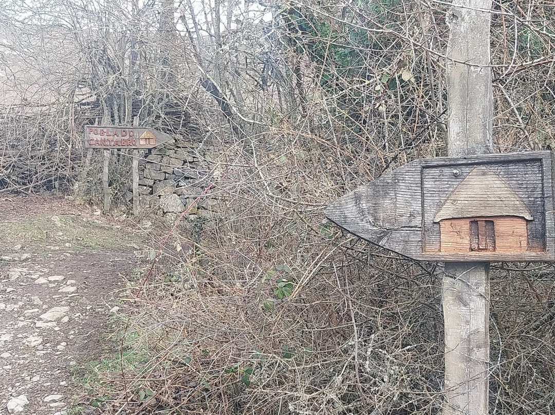 Poblado Cántabro de Argüeso-Argueso必去景点