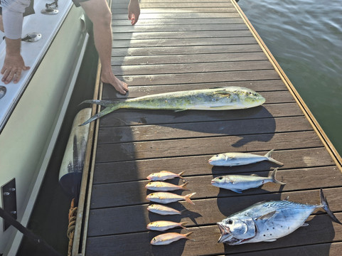 Hunt Fish Kauai-可洛亚必去景点