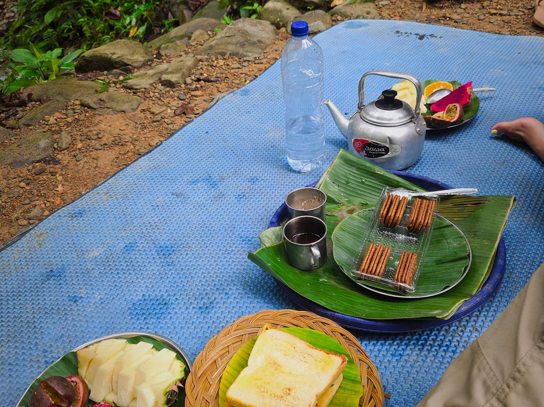 Sumatra Orang Utan Treks-武吉拉旺必去景点