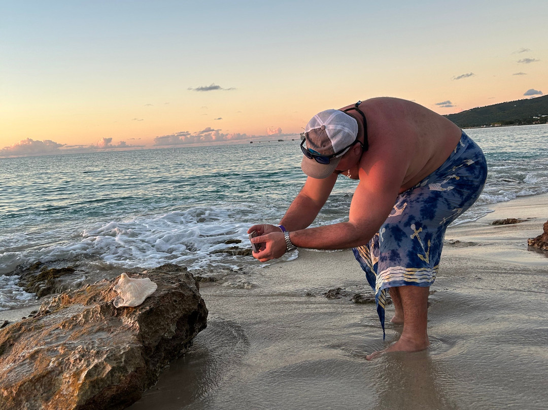 Big Beard's Adventure Tours-Christiansted必去景点