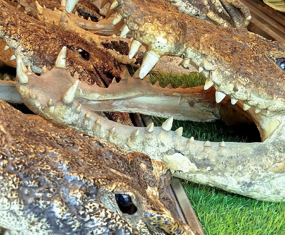 Ao Nang Landmark Night Market-奥南必去景点