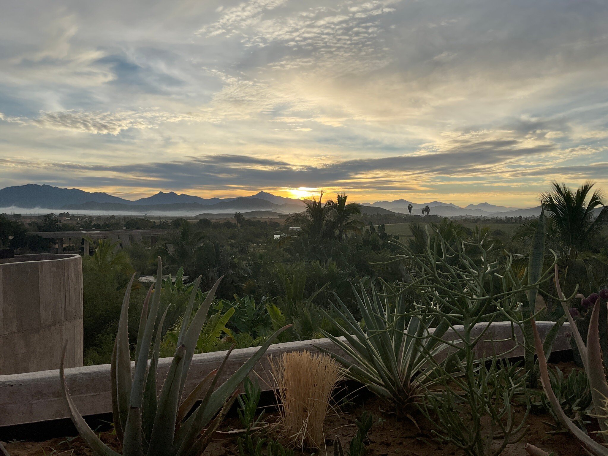 Paradero Todos Santos-官方