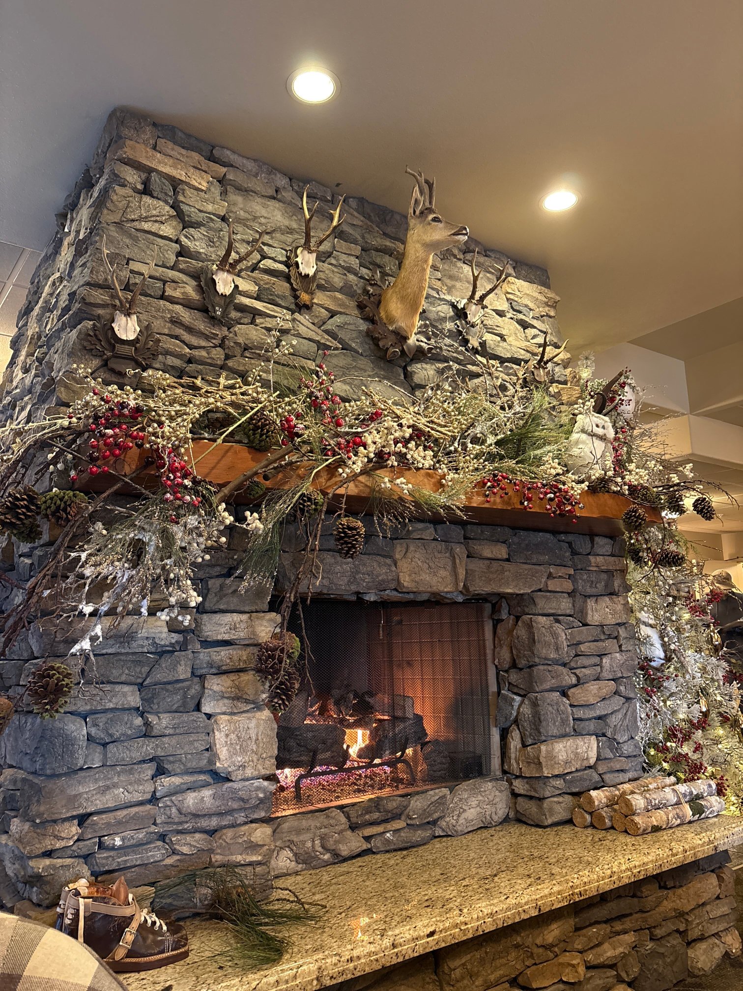 巴伐利亚旅舍-官方