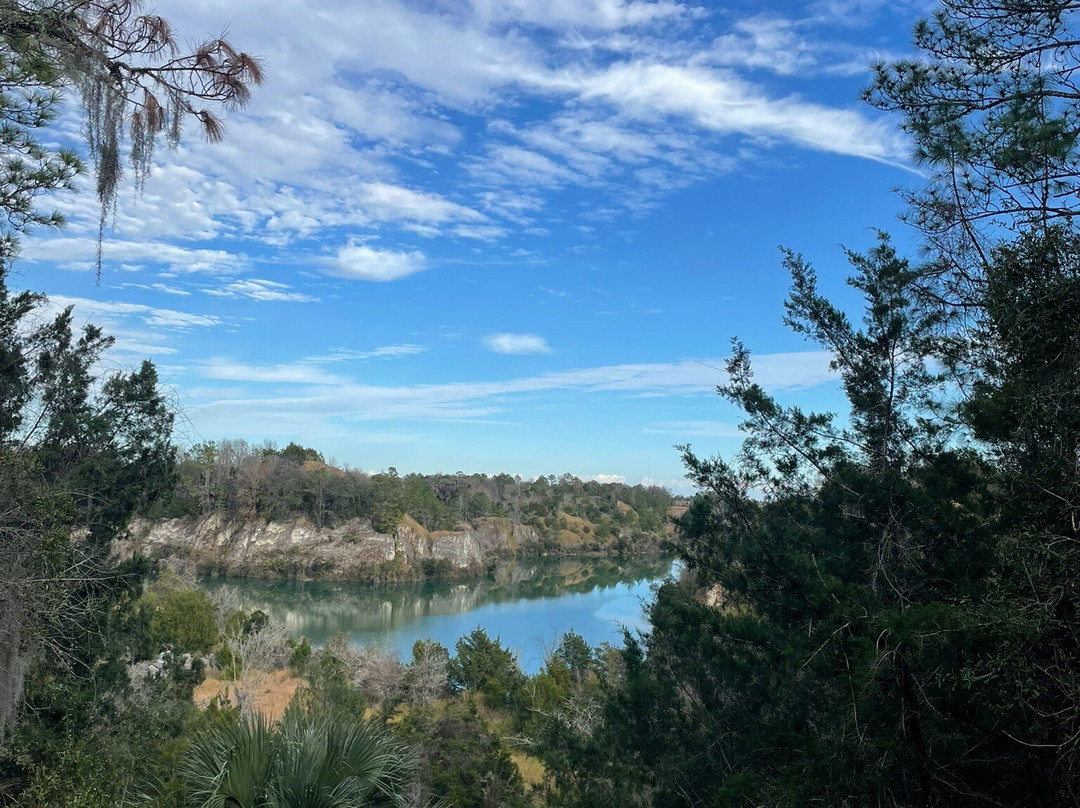 Canyons Zip Line & Canopy Tours-奥卡拉必去景点