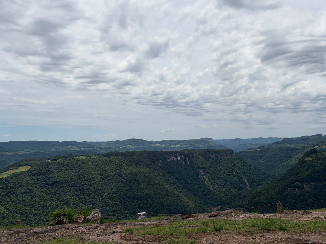 Parque Olivas de Gramado-格拉玛多必去景点