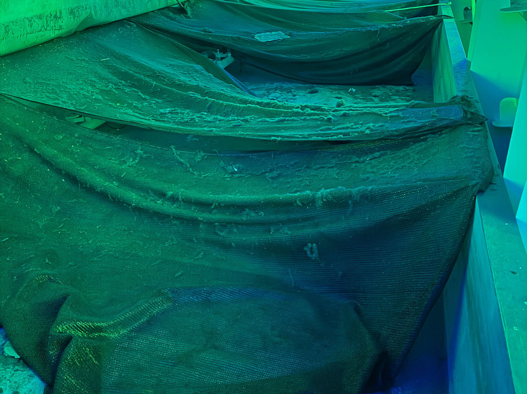 Cinelandia-Arosio必去景点