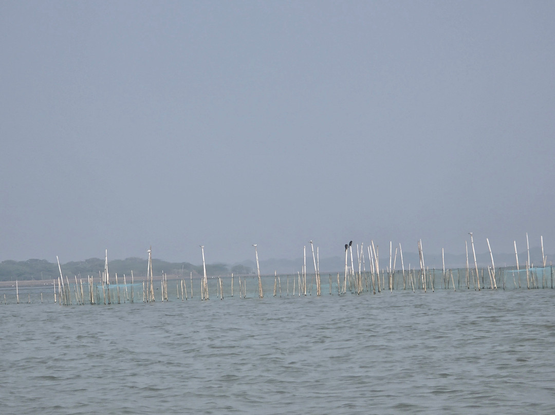 Chilika Lake-普里必去景点