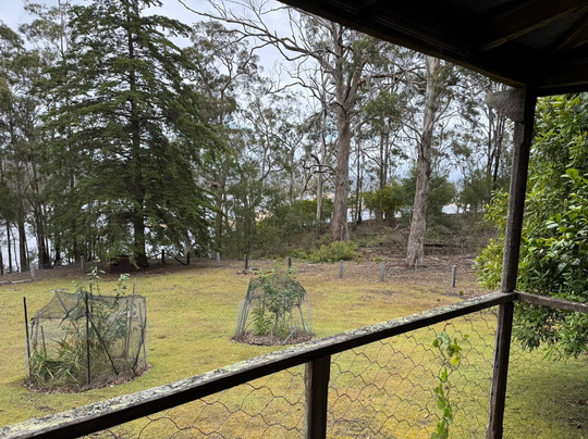 Davidson Whaling Station-伊登港必去景点