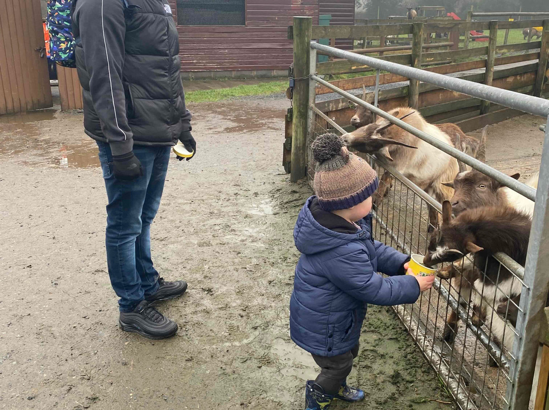 Hoo Zoo And Dinosaur World-特尔福德必去景点